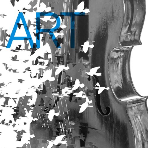 KotorArt Akademija dobila 60 prijava iz cijelog regiona