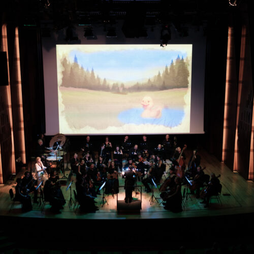 KotorArt i mladi: koncerti umjetničke muzike za djecu, podrška talentima